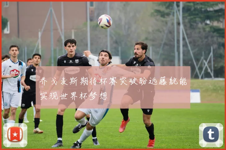 乔戈麦斯期待杯赛突破盼远藤航能实现世界杯梦想